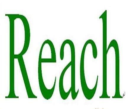 reach檢測 reach檢測